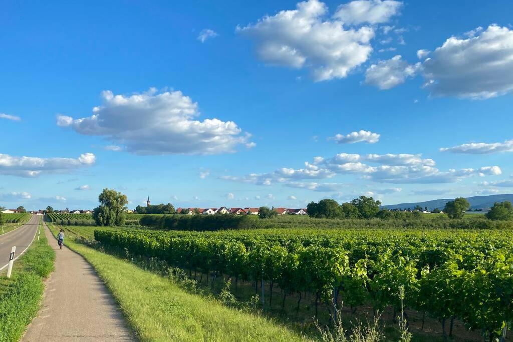 Ruhe Und Entspannung Erpolzheim Kültér fotó