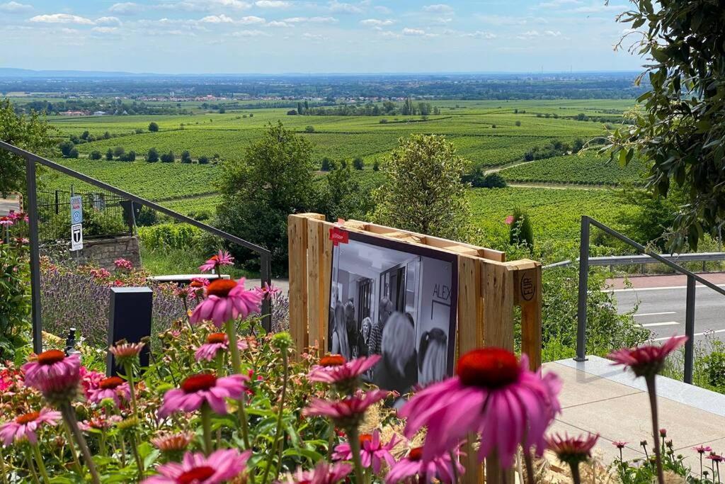 Ruhe Und Entspannung Erpolzheim Kültér fotó